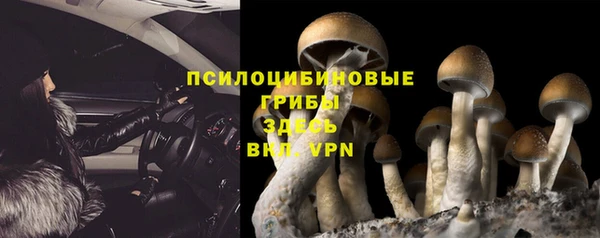 мяу мяу кристалл Горняк