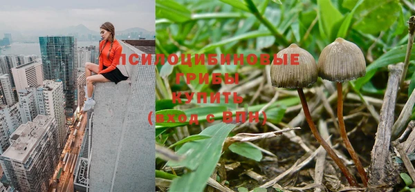 мяу мяу кристалл Горняк