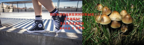 spice Горно-Алтайск