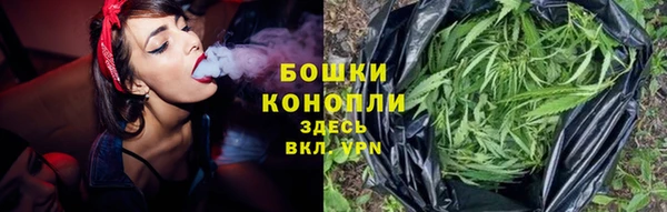 гидра Горнозаводск
