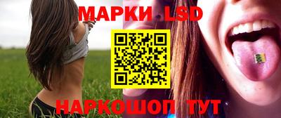 мяу мяу кристалл Дмитров