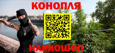 крисы Долгопрудный