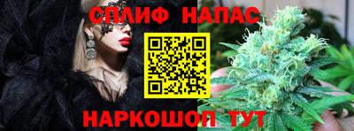 крисы Долгопрудный